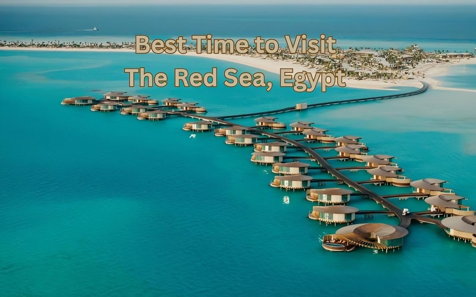 red-sea-egypt