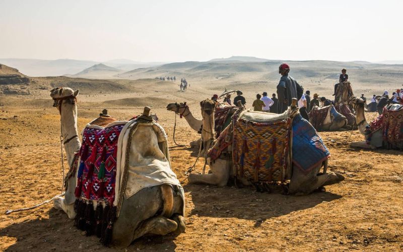 Best Time to Visit Egypt