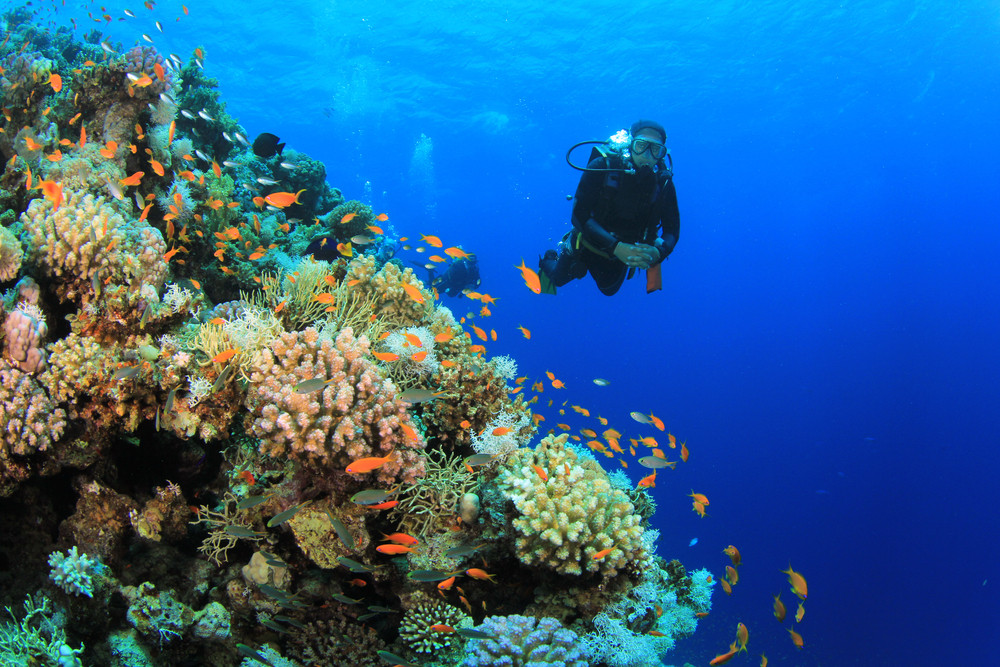 red-sea-egypt