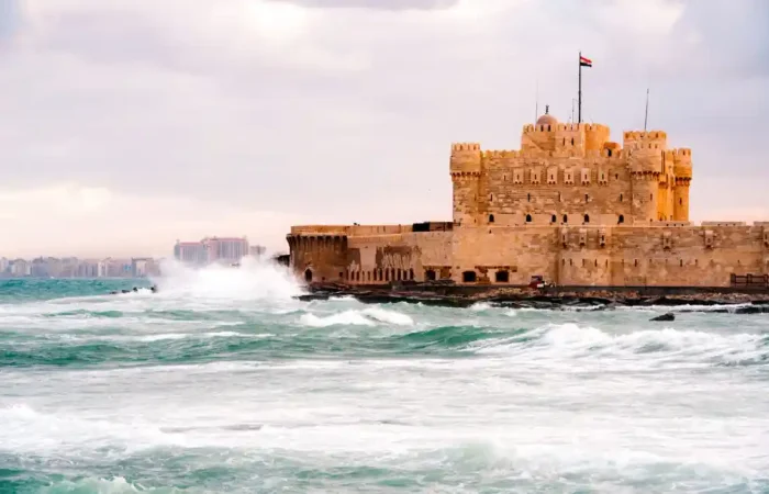 Day Tour Visiting Alexandria City