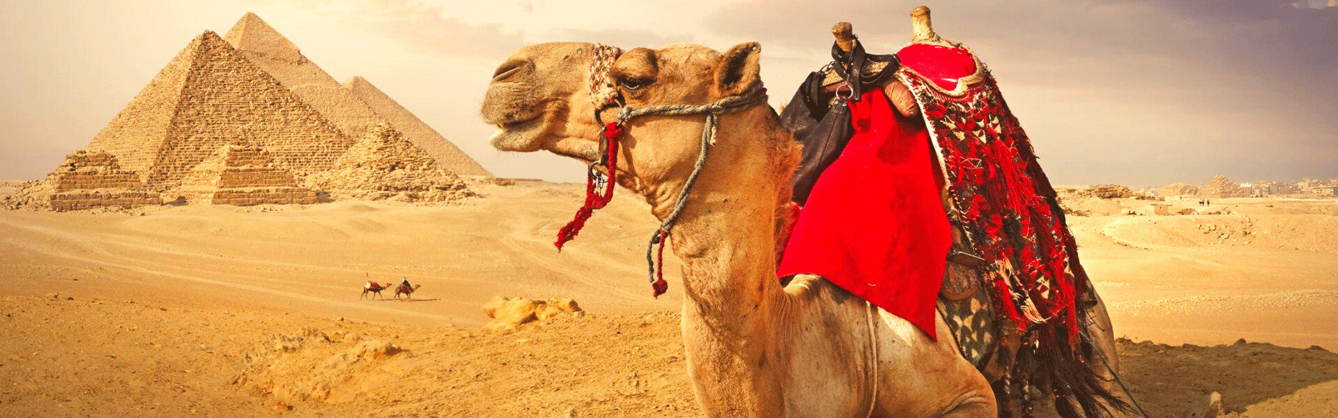Egypt Tours From India, egypt trip to india