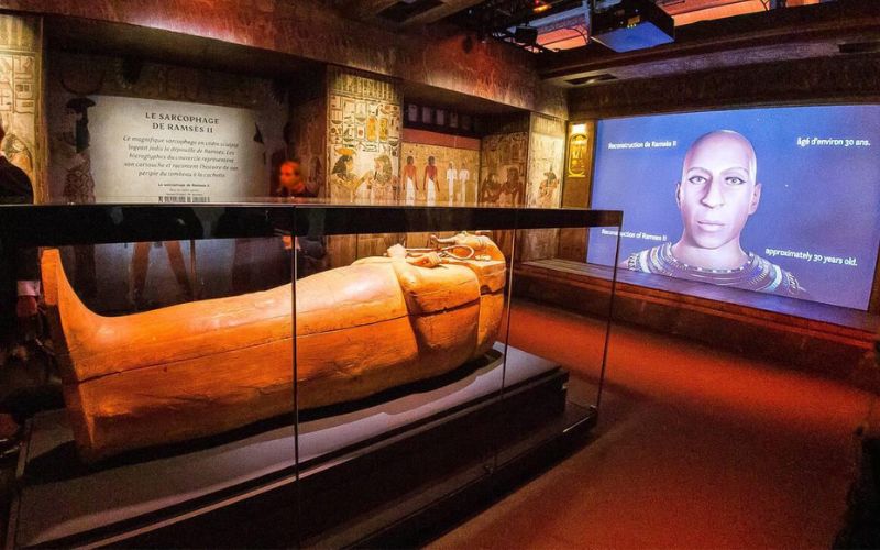 Egyptian Mummies