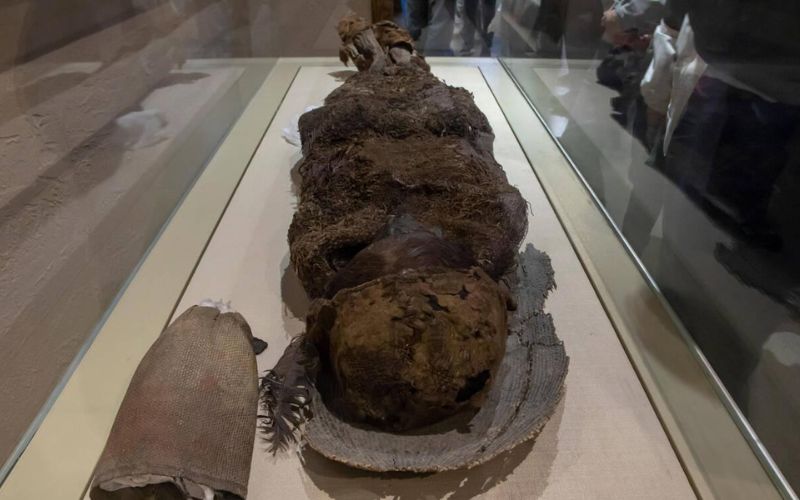 Egyptian Mummies
