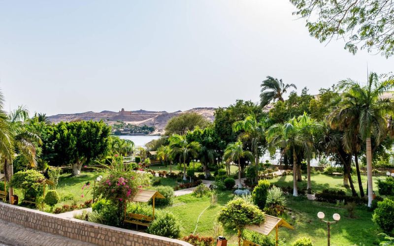 What to see in Aswan