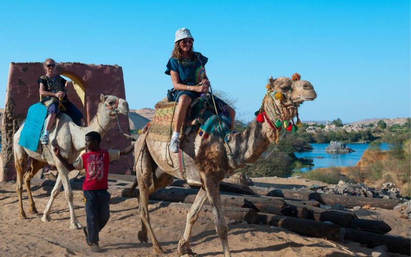 Riding Camels in Egypt
