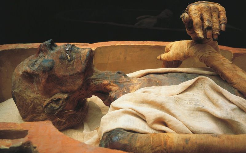 Fun Facts about Egypt