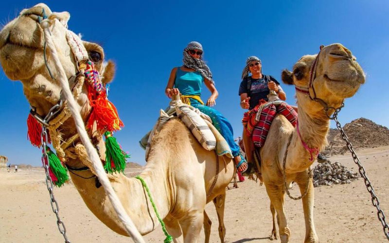 Riding Camels in Egypt