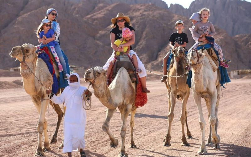 Riding Camels in Egypt