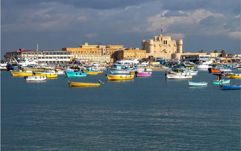 Day Tours from Cairo
